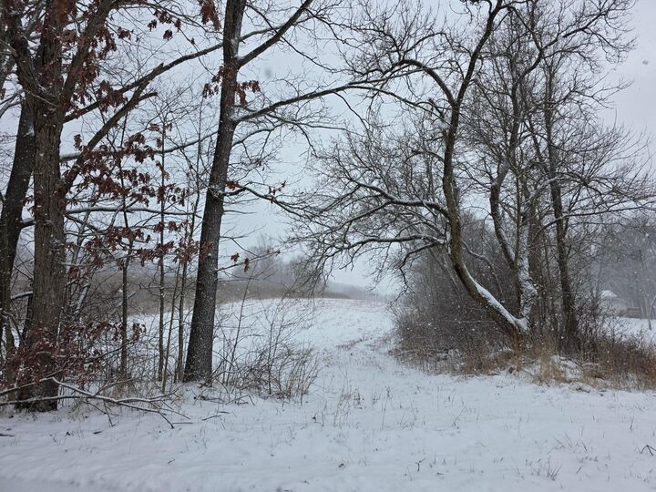 Property Photo:  0 Riggle Road  OH 44813 