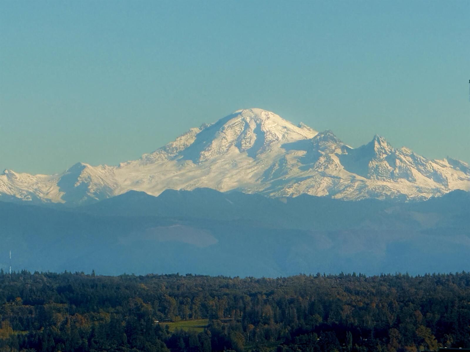 Property Photo:  1501 Foster Street 2001  BC V4B 0C3 