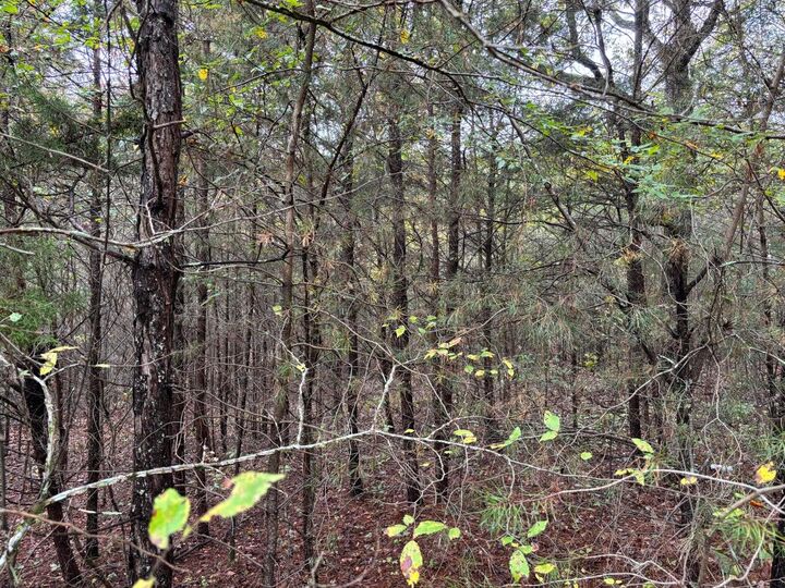 Property Photo: 3 Countryside Drive TN 37327