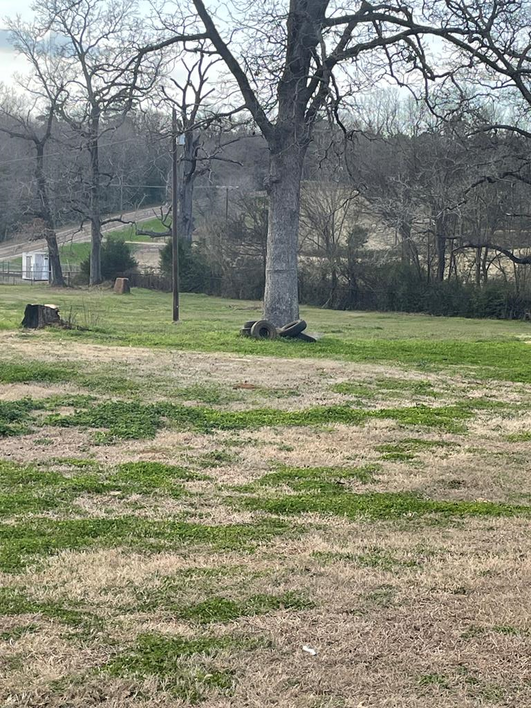 Property Photo: 203 Fm 2476 TX 75946