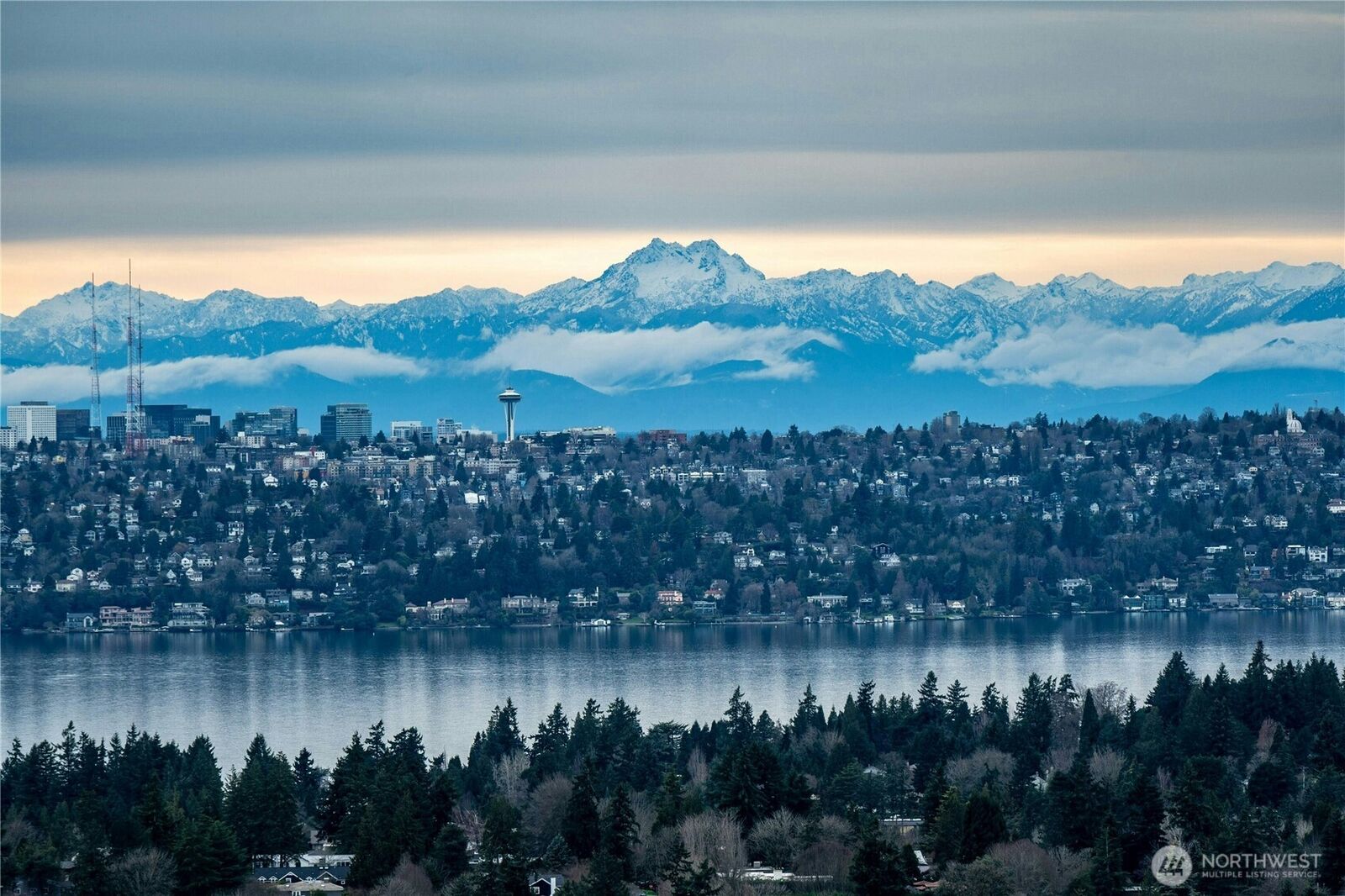 Property Photo:  650  Bellevue Way NE 3705  WA 98004 