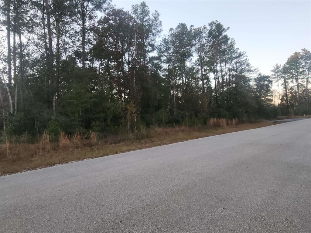 Property Photo:  10830 Rock Creek Ridge  TX 77625 