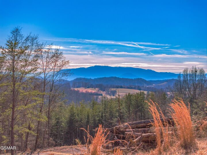 Property Photo: Lot 51R Kenneth Overlook TN 37764