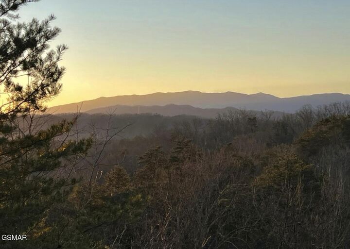 Property Photo: 1883 Blackberry Way TN 37876