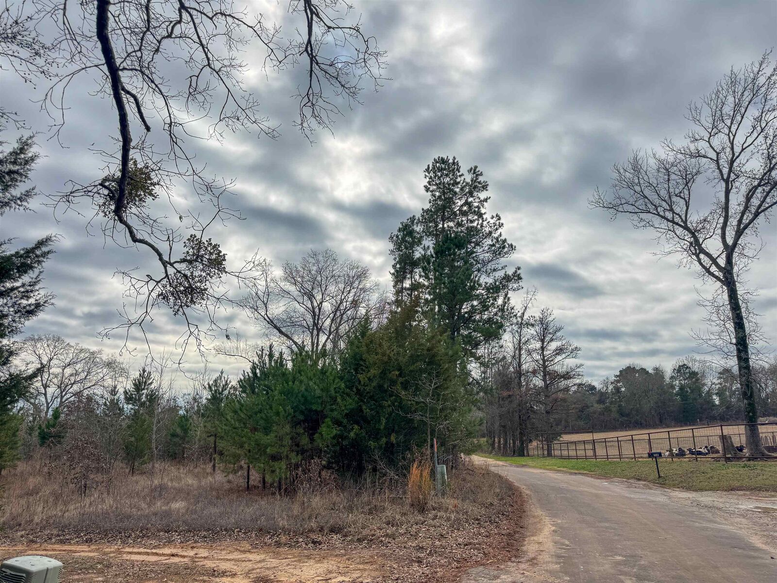 Property Photo:  Tbd Cr 2619  TX 75566 