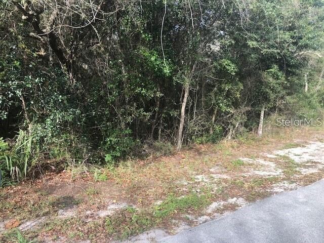 Property Photo:  189 Candlewick Avenue  FL 34608 