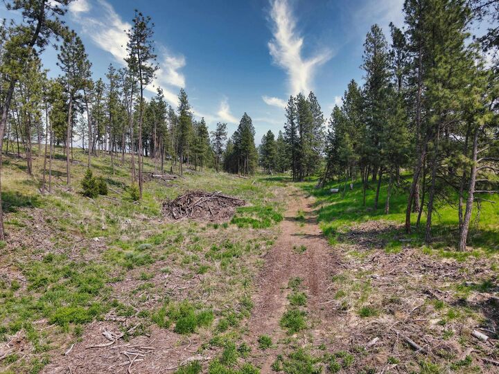 Property Photo:  45xxx Devore Rd  WA 99122 