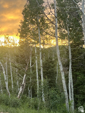 Property Photo: 415 E Matterhorn Dr. S 138 UT 84098