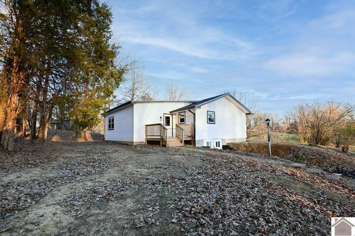 Property Photo:  4201 Lovelaceville Rd  KY 42001 