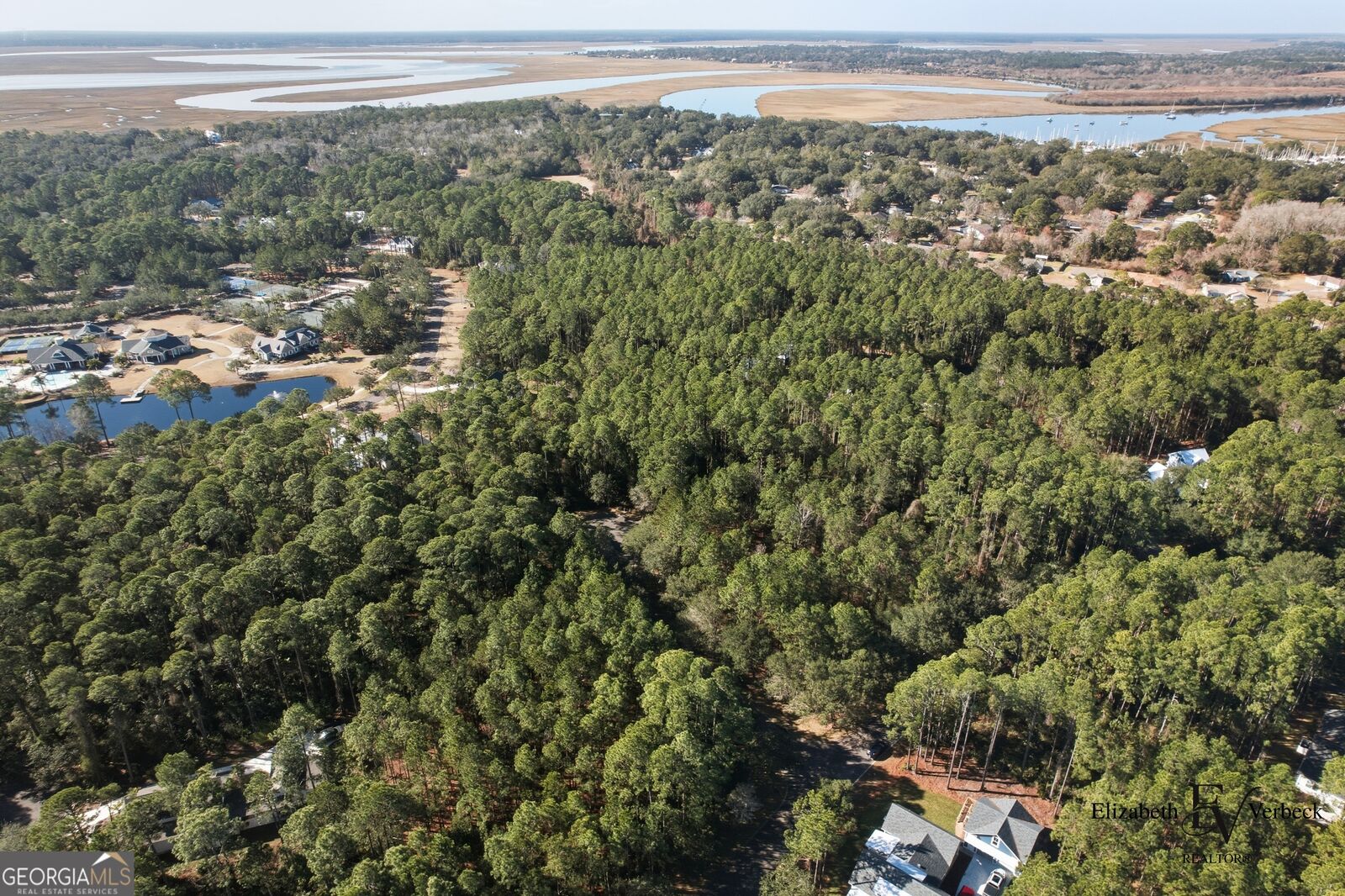 Property Photo: V/L 238 Lateral Buoy Lane GA 31558