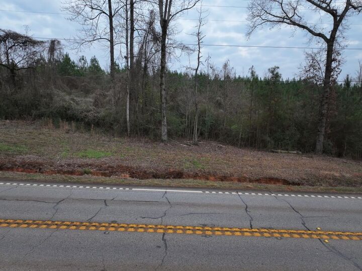 Property Photo:  Parcel C3-300 Highway 0027  GA 31811 