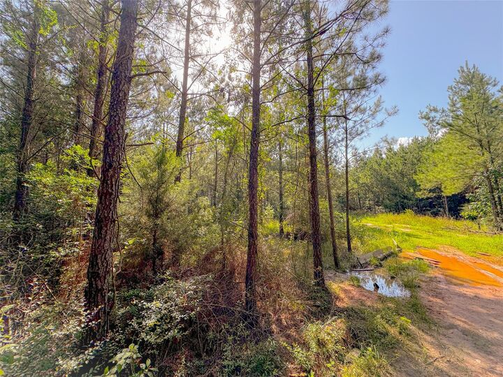 Property Photo:  0 County Road 2650  TX 77327 