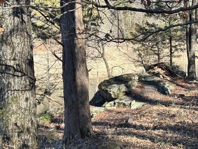 Property Photo:  Lot 13 Cr 1526  AR 72632 