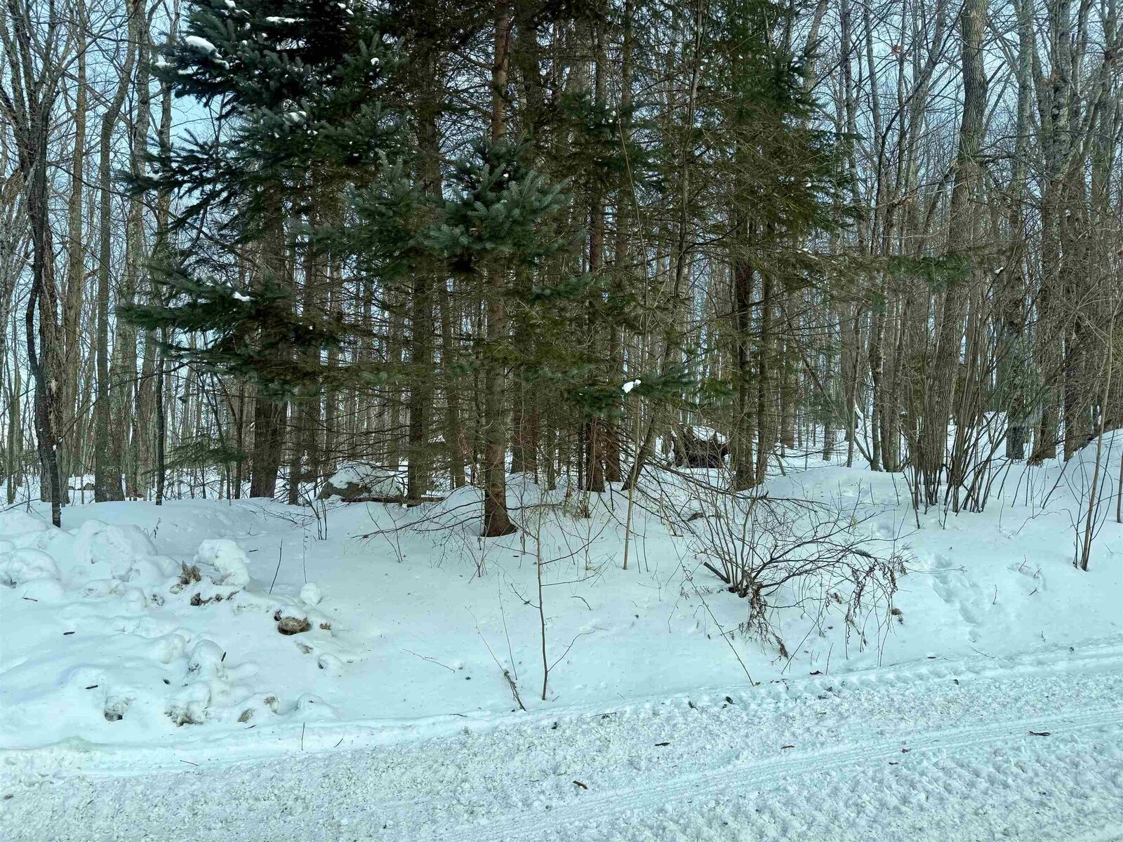 Property Photo:  Jones Avenue  WI 54566 