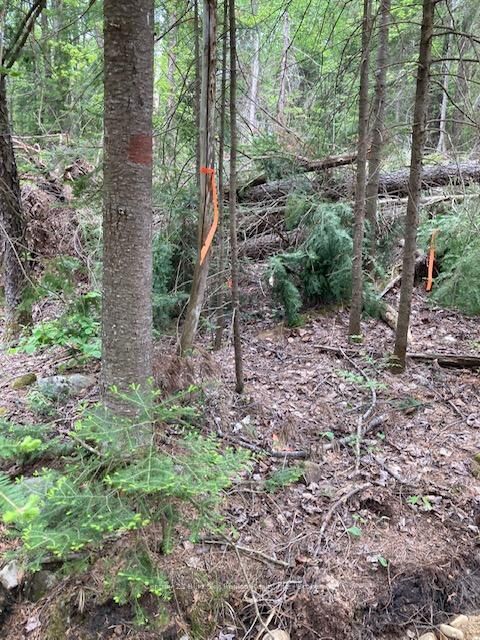 Photo de la propriété:  Lot 28 Concession 11 N/A  ON P0A 1H0 