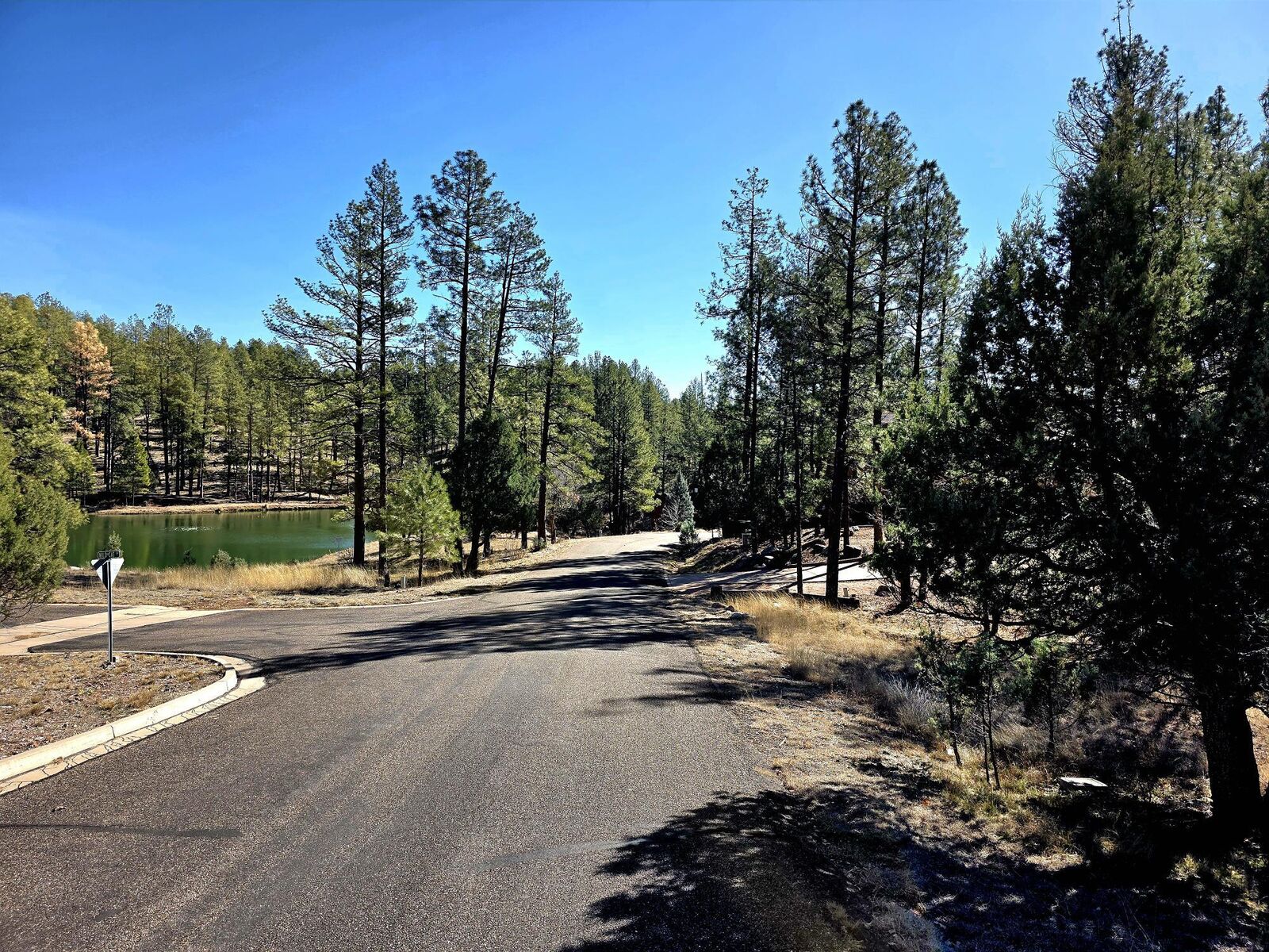 Property Photo:  122 S Hunter Creek Drive  AZ 85541 