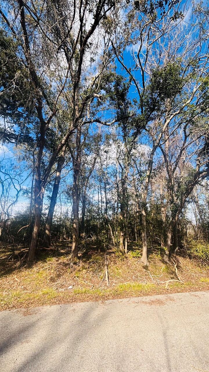 Property Photo:  Lots 641,639,637 Marshall Avenue  TX 77515 