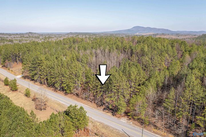 Property Photo:  3.54 Tom Cat Road  AL 35903 