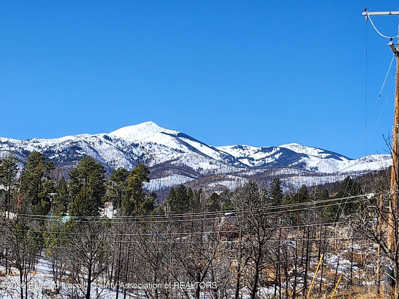 Property Photo:  299 Alpine Village Road  NM 88345 