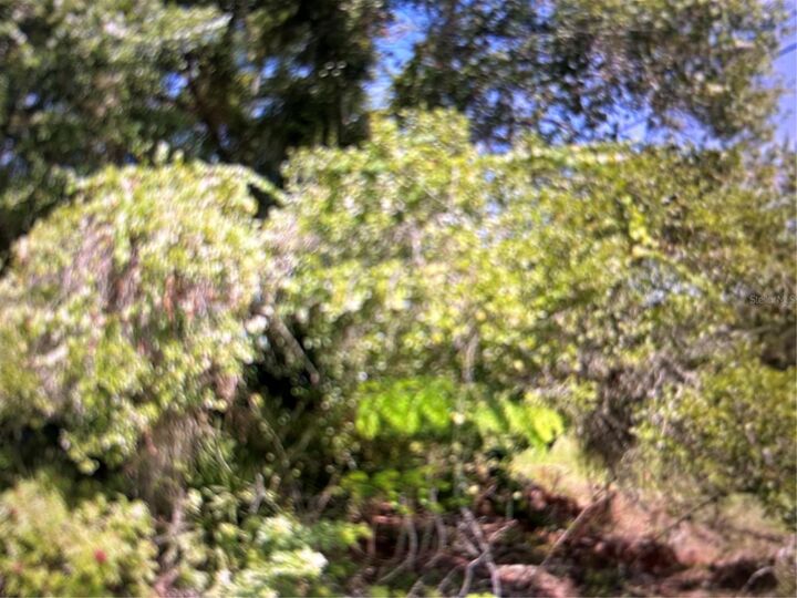 Property Photo:  1697 Waneta St  FL 32909 