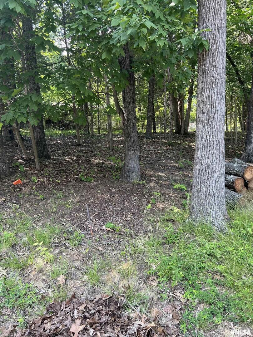 Property Photo:  Lot 285 Cardinal Lane  IL 62939 