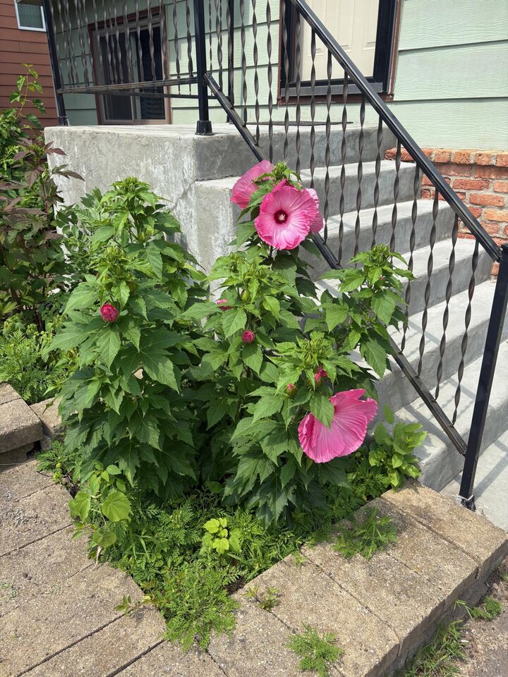 Property Photo:  16826 Excelsior Boulevard  MN 55345 