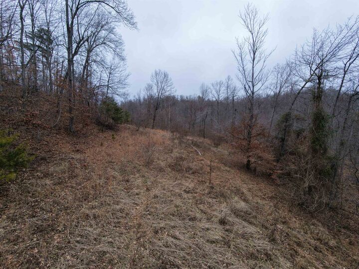 Property Photo: 00 Left Fork Cooper Ridge Road WV 25541