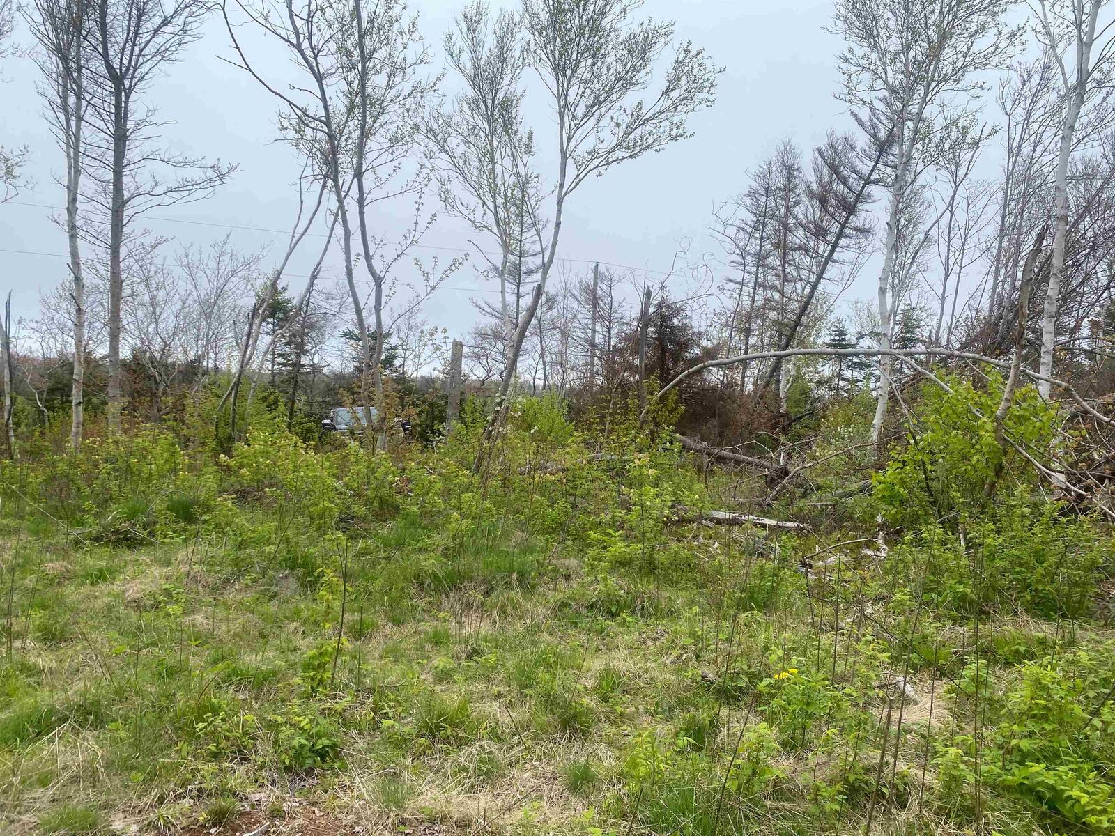 Photo de la propriété:  Lot Cape Road  PE C0A 1X0 