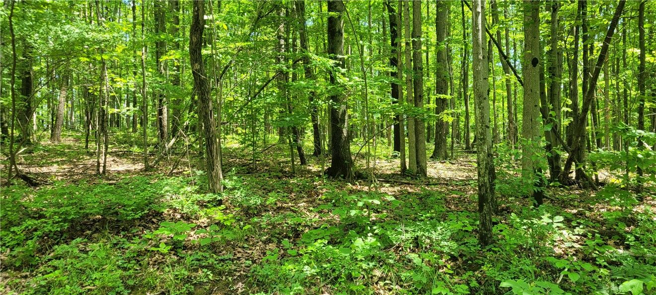 Property Photo: Hagerman Road NY 14825