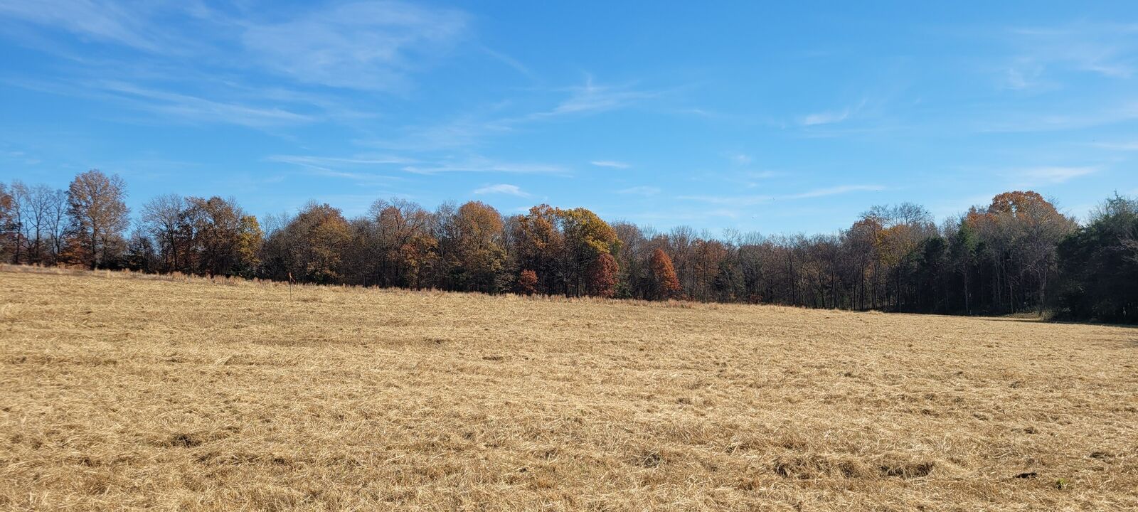 Property Photo: 6 Mount Lebanon Church Rd TN 37160
