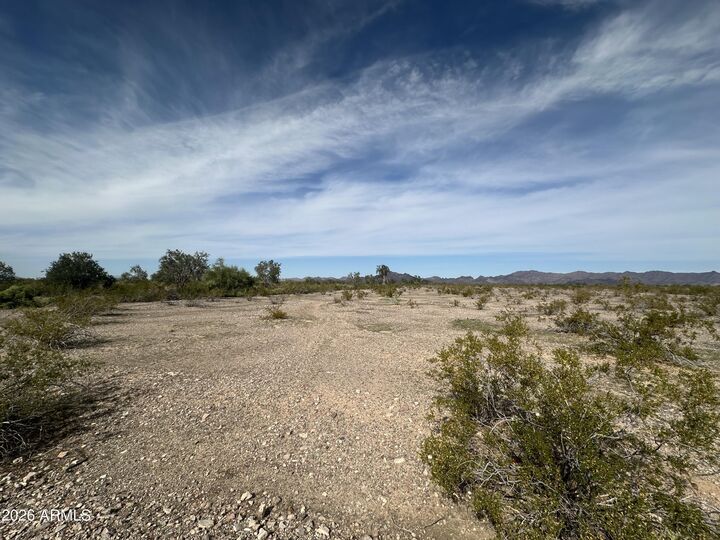 Property Photo:  Xxx N 411th Avenue 0  AZ 85354 