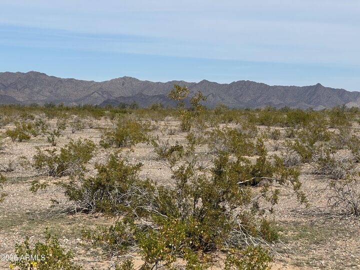 Property Photo:  -- N 411th Avenue 0  AZ 85354 