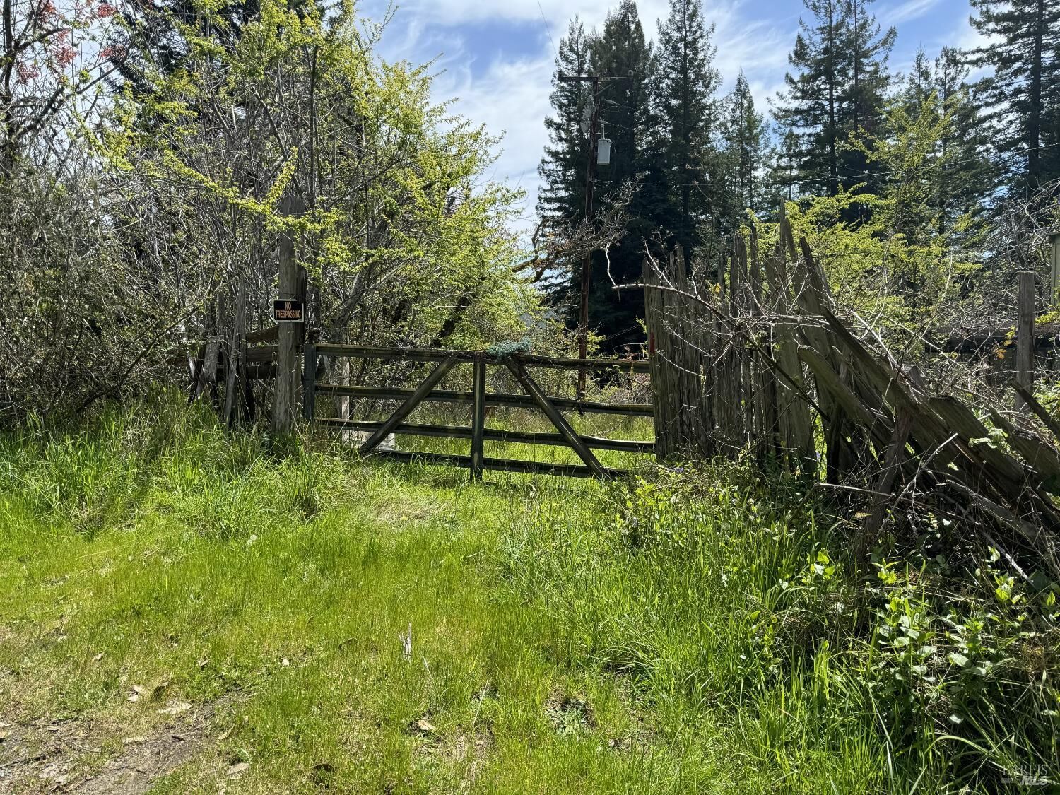 Property Photo: 23501 Branscomb Road CA 95488
