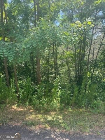 Property Photo:  Lts 43 &Amp 44 Reece Mountain Road  GA 30536 