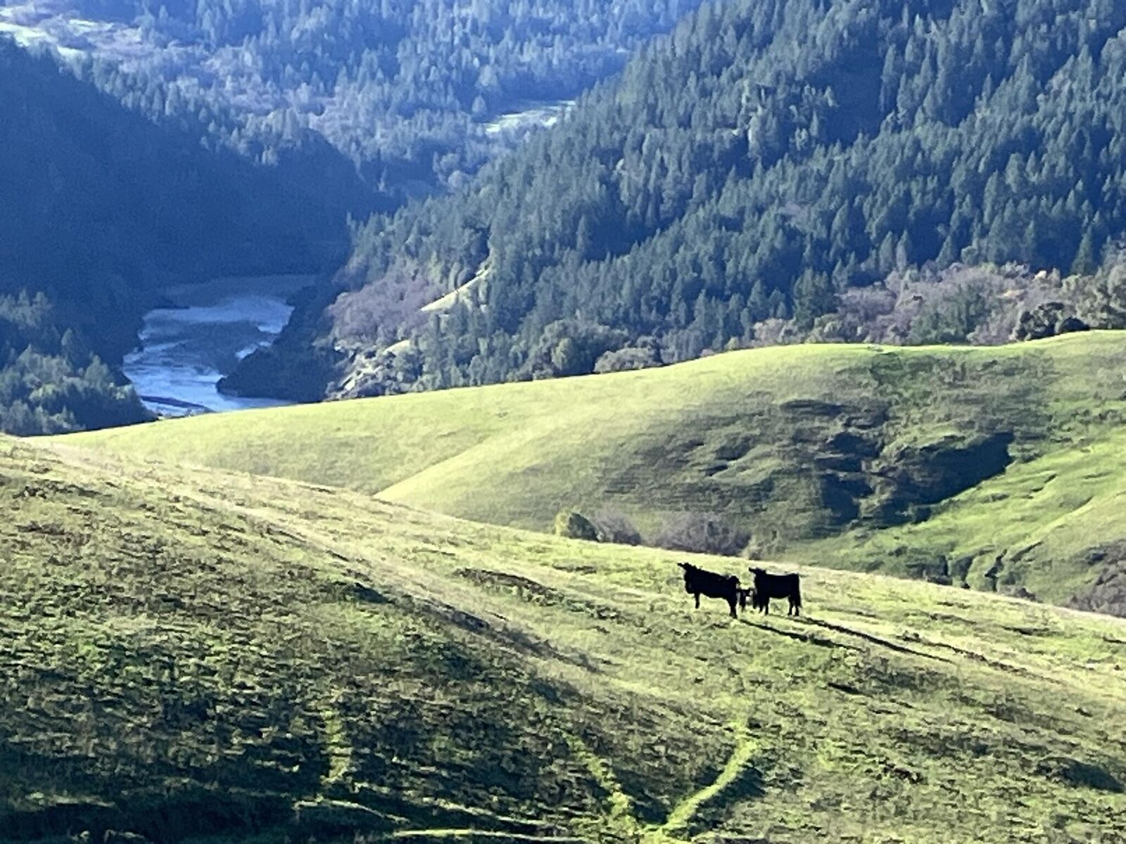 Property Photo: 123 Cemetery Road CA 95514