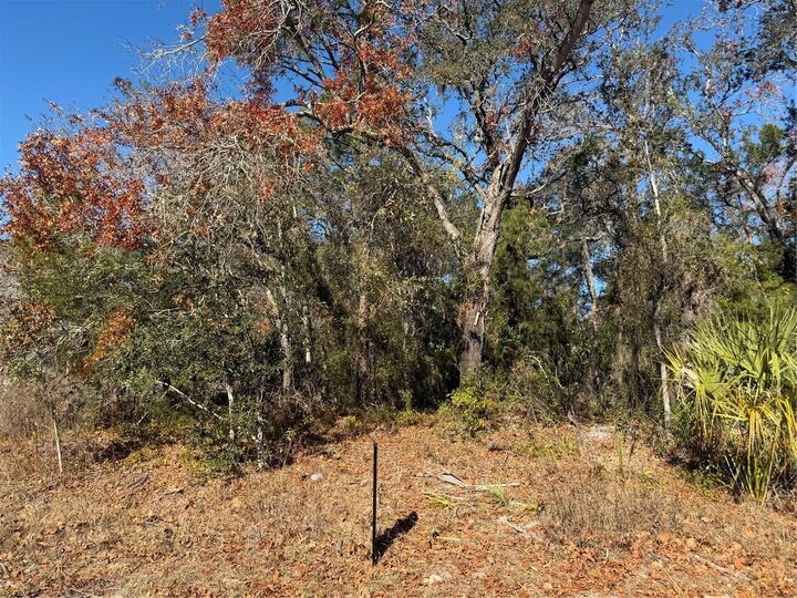 Property Photo:  4307 Castle Avenue  FL 34609 