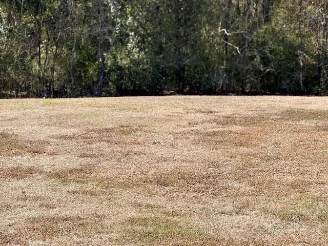 Property Photo:  1 Clifford Court  LA 70094 