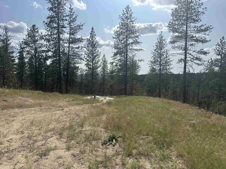 Property Photo:  Nka Lower Weaver Way Lot B  WA 99006 