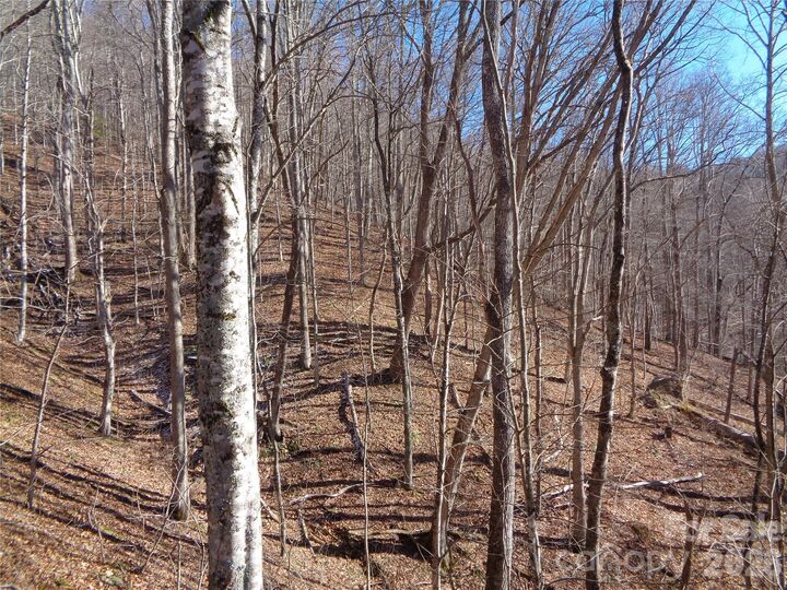 Property Photo:  000 Listening Cove 42  NC 28721 