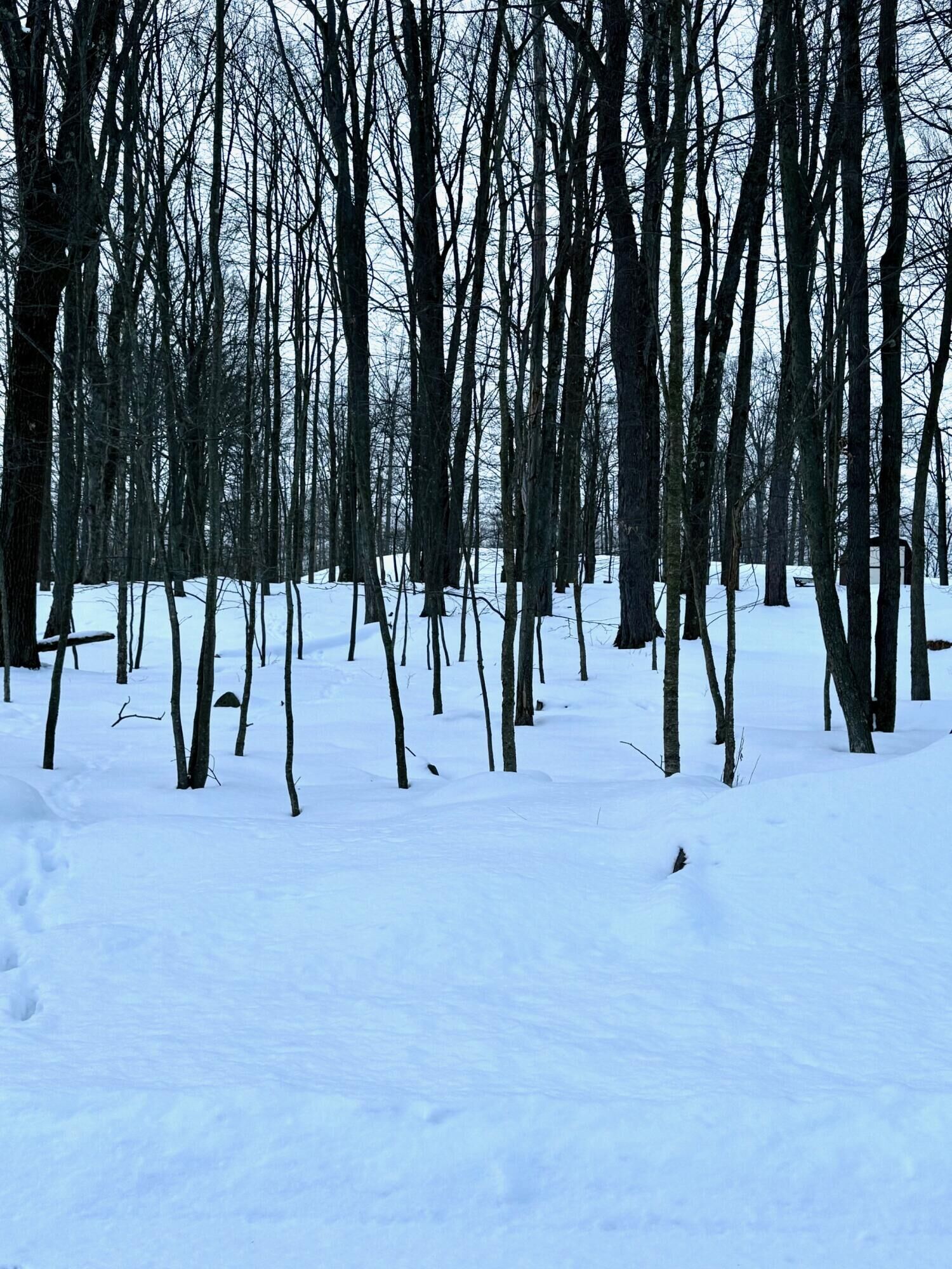 Property Photo:  17 Six Shillings Rd  PA 15801 