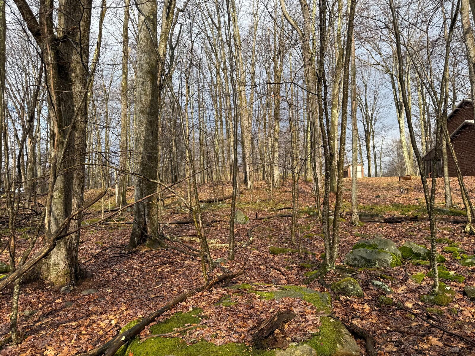 Property Photo:  17 Six Shillings Rd  PA 15801 