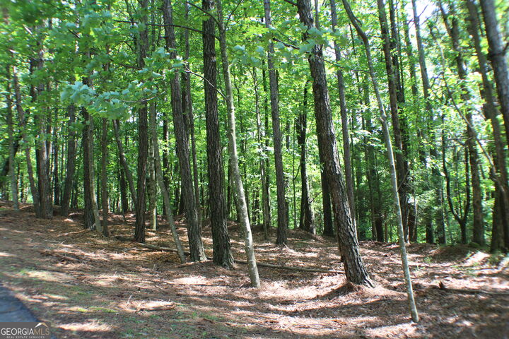 Property Photo:  Lot 36R Lake View Lane  GA 30536 