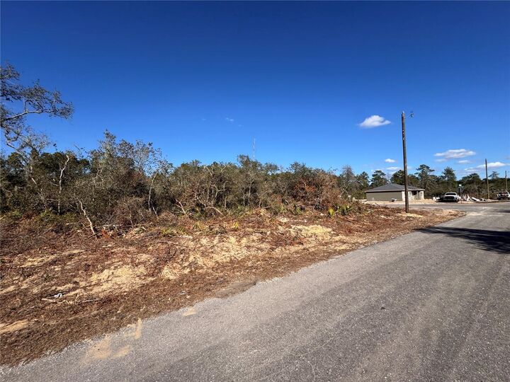 Property Photo:  Fisher Pass  FL 32179 