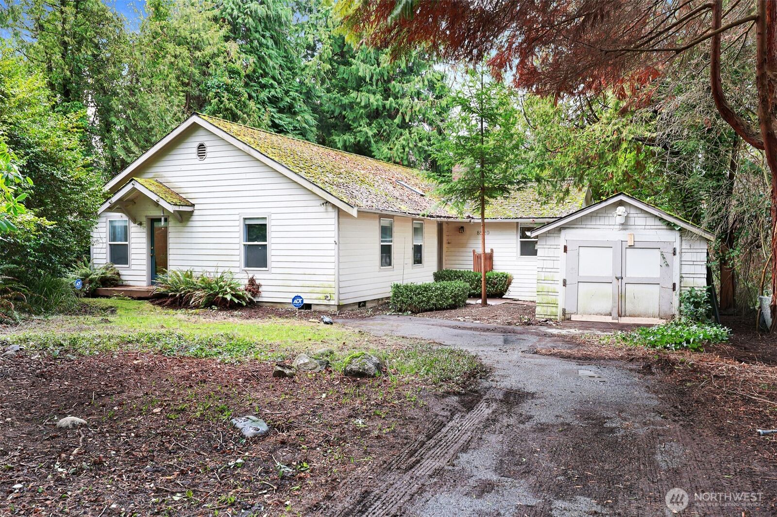 Property Photo:  8529  29th Avenue NW  WA 98117 