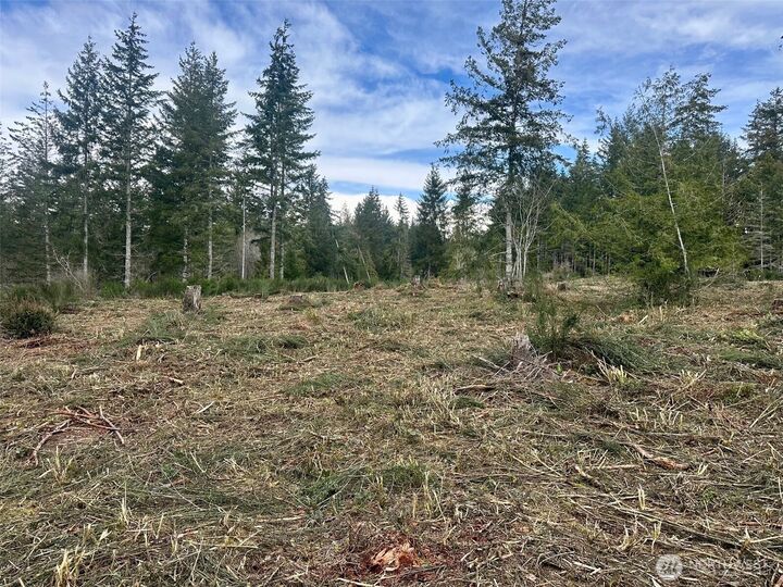 Property Photo: 0 Lot 5 E Pickering Road WA 98584