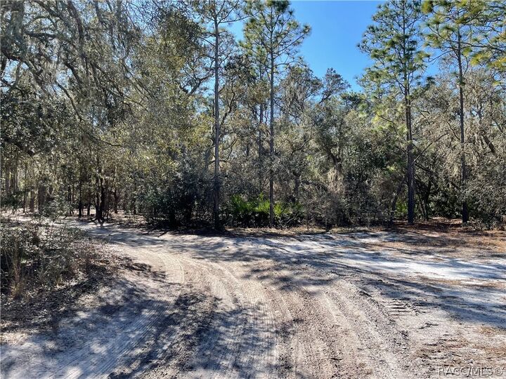 Property Photo:  3770 Kingfisher Street  FL 34450 