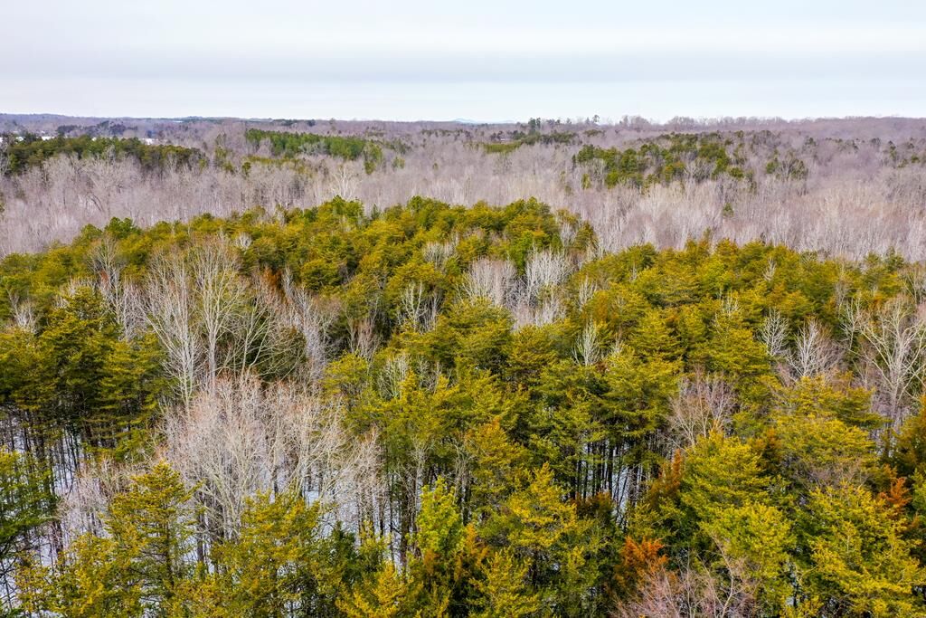 Property Photo:  Farmville Road  VA 23901 