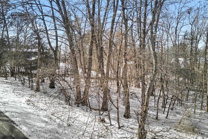 Property Photo:  Lot 6 Peacock Lane  WI 54941 