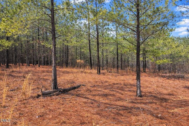 Property Photo:  195 Appleton Way  NC 27332 