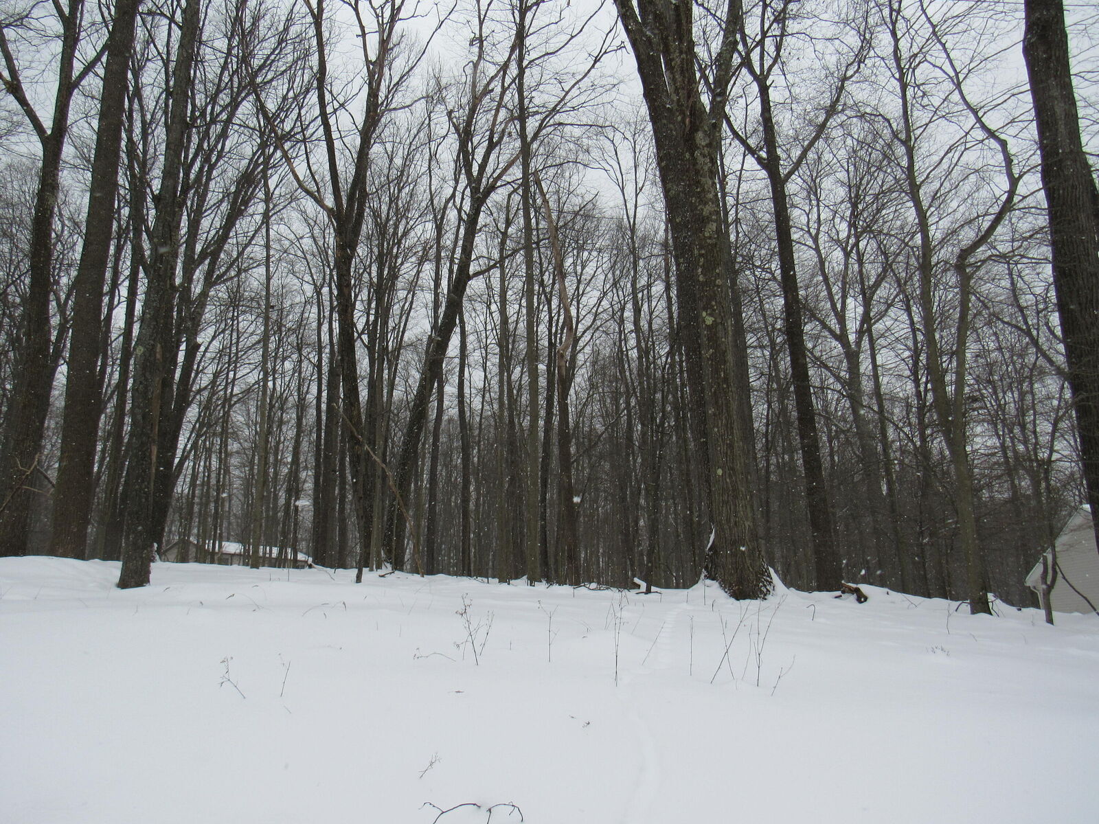 Property Photo:  5 Admiral Dunbar  PA 15801 